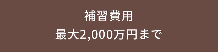 補習費用 最大2,000万円まで